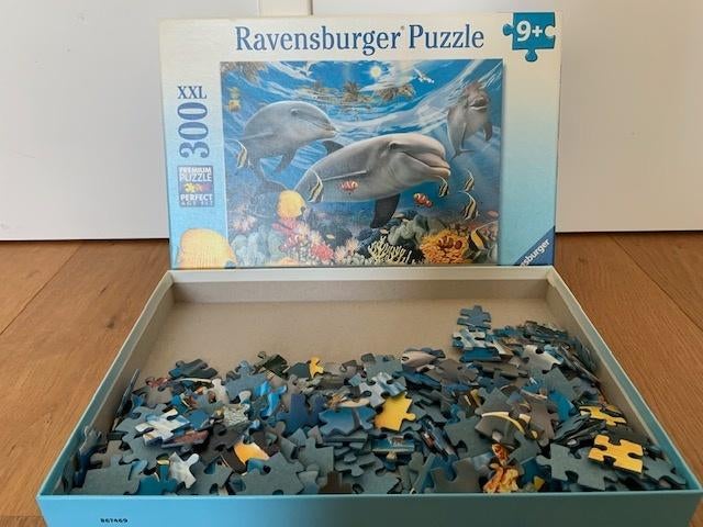 puzel, Ophalen, 500 t/m 1500 stukjes, Zo goed als nieuw, Overige typen