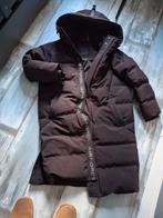 Airforce gewatteerde winterjas weinig gedragen te groot, Kleding | Dames, Jassen | Winter, Ophalen of Verzenden, Zo goed als nieuw