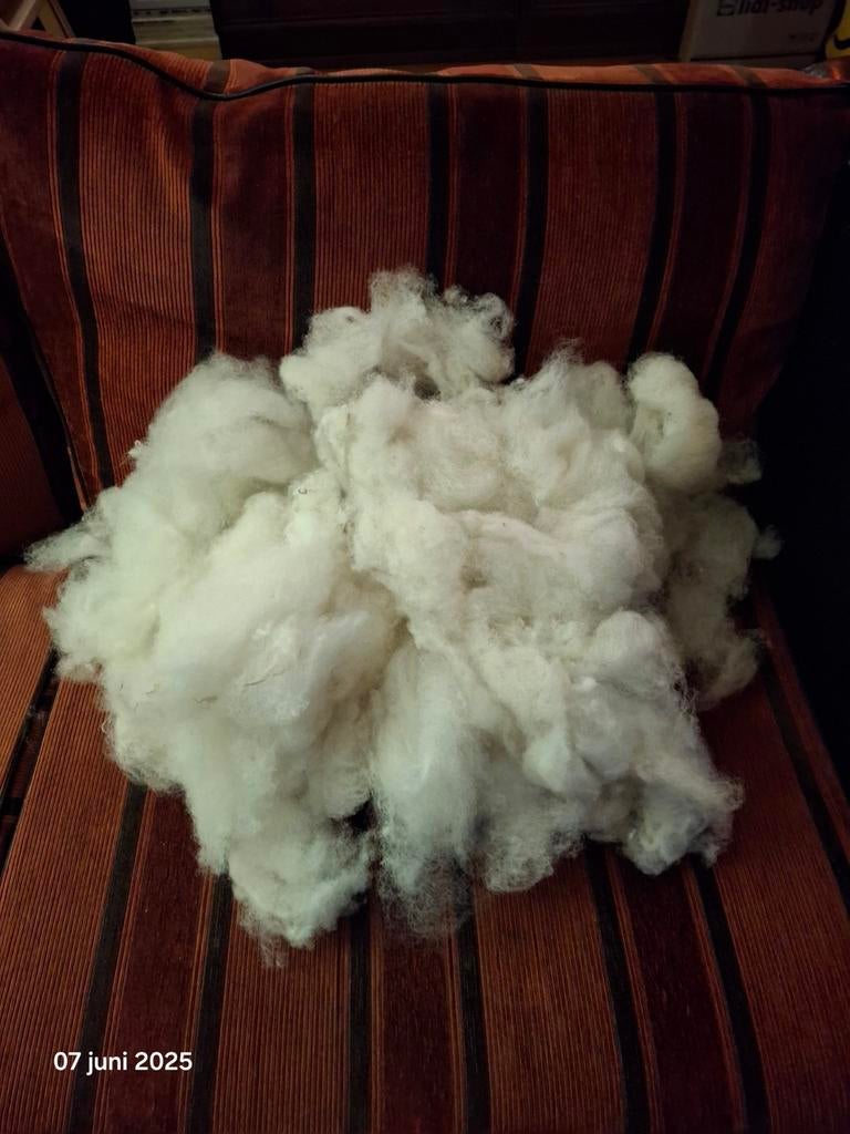 3 kussenslopen van 1 kilo gewassen schapenwol per kilo €25, Ophalen of Verzenden