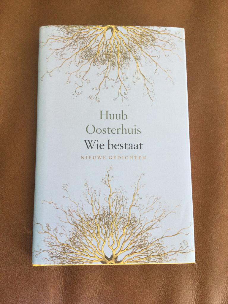 Huub Oosterhuis: Wie bestaat, Ophalen of Verzenden, Zo goed als nieuw, Huub Oosterhuis