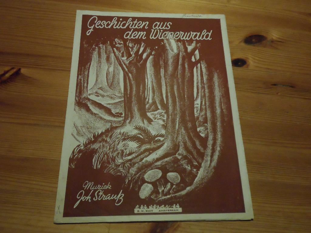 Joh. Strauss - geschichten aus dem wienerwald, Gebruikt, Ophalen of Verzenden, Artiest of Componist, Piano