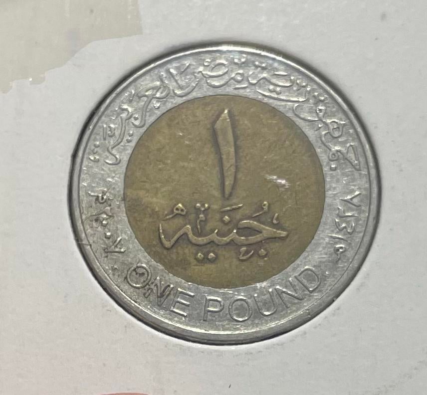 1 pond Egypte, Ophalen of Verzenden, Overige landen