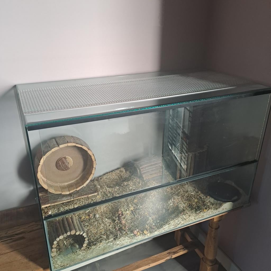 TERRARIUM, Dieren en Toebehoren, Ophalen, Gebruikt, Terrarium of Paludarium