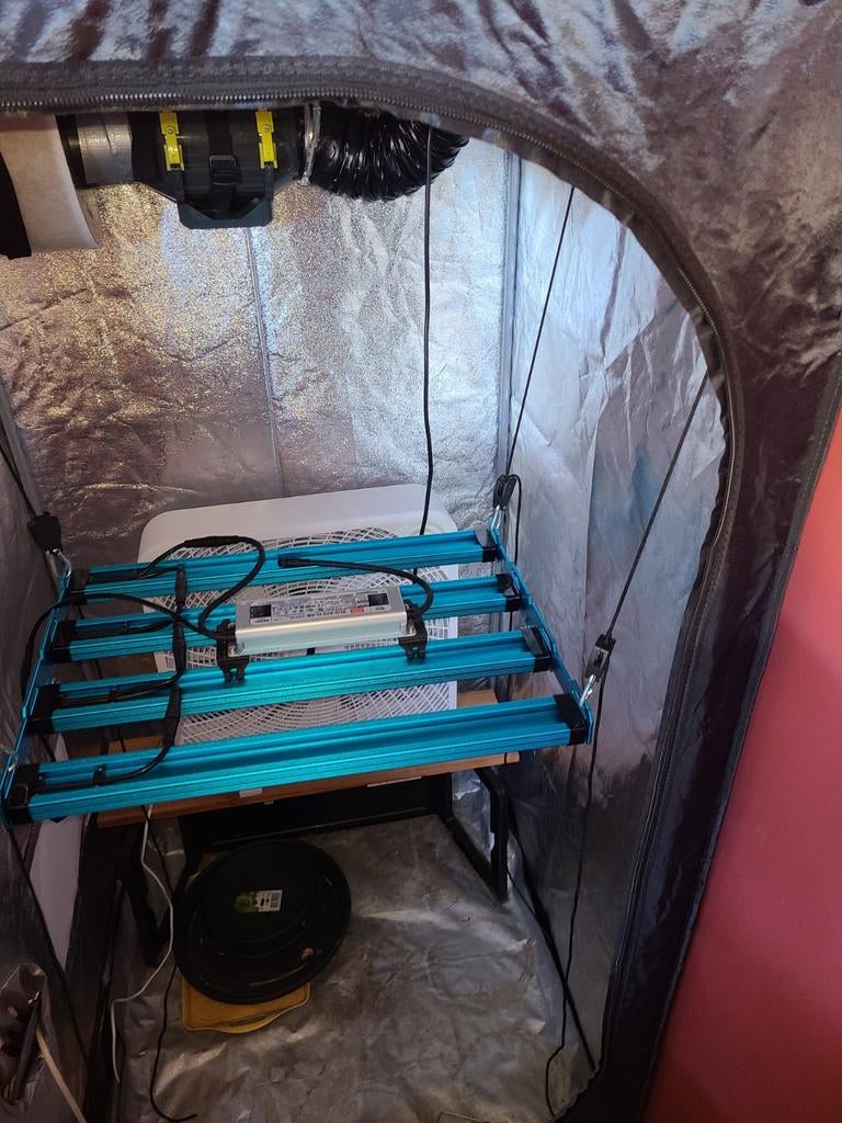 Kingbrite kweeksetup, Tuin en Terras, Kweekspullen, Ophalen