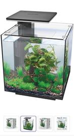 Qubic 30 pro aquarium met toebehoren, Vis