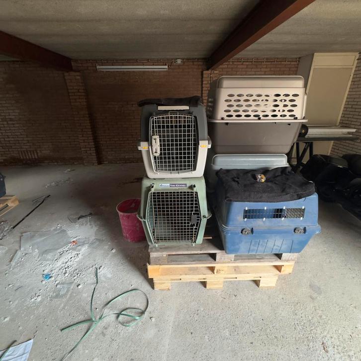 Bench verschillende afmetingen, Dieren en Toebehoren, Transportboxen, Ophalen