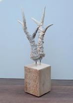 Groot zesender REE GEWEI op houten sokkel - ref. 5