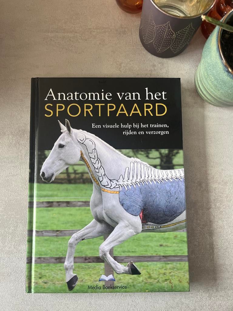 Anatomie van het Sportpaard - Visuele hulp training, Ophalen of Verzenden, Zo goed als nieuw