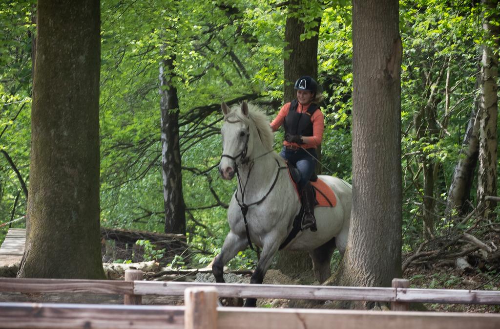 Lemieux Sorbet set, Ophalen of Verzenden, Zo goed als nieuw