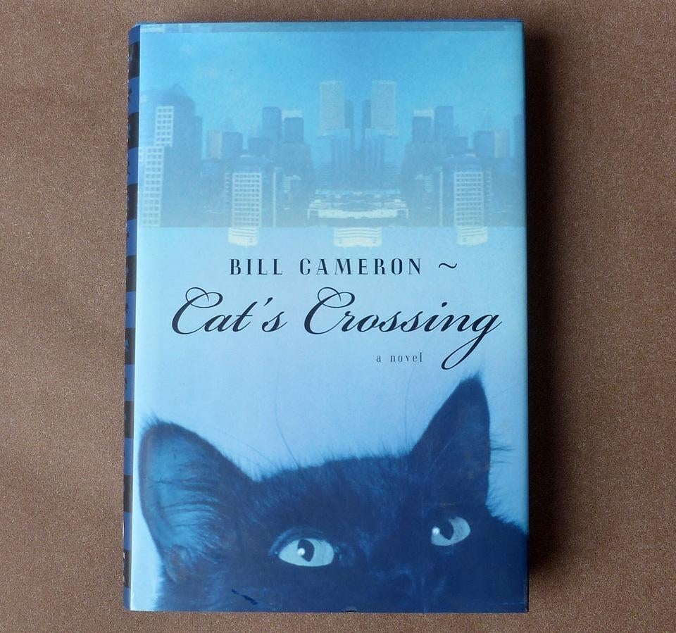Bill Cameron - Cat's Crossing Engelstalige roman satire, Ophalen of Verzenden, Zo goed als nieuw, Bill Cameron