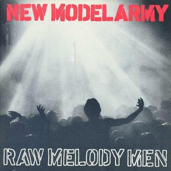 New Model Army, Cd's en Dvd's, Cd's | Rock, Gebruikt, Alternative, Ophalen of Verzenden