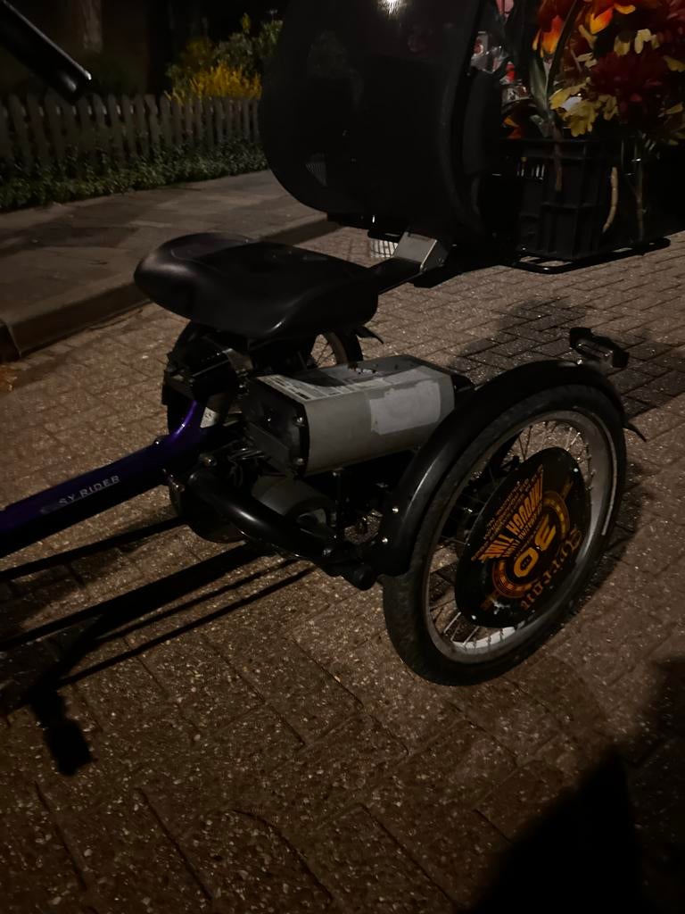 Van Raam Easy Rider driewieler, Ophalen, Zo goed als nieuw, Maximaal 25 km/u