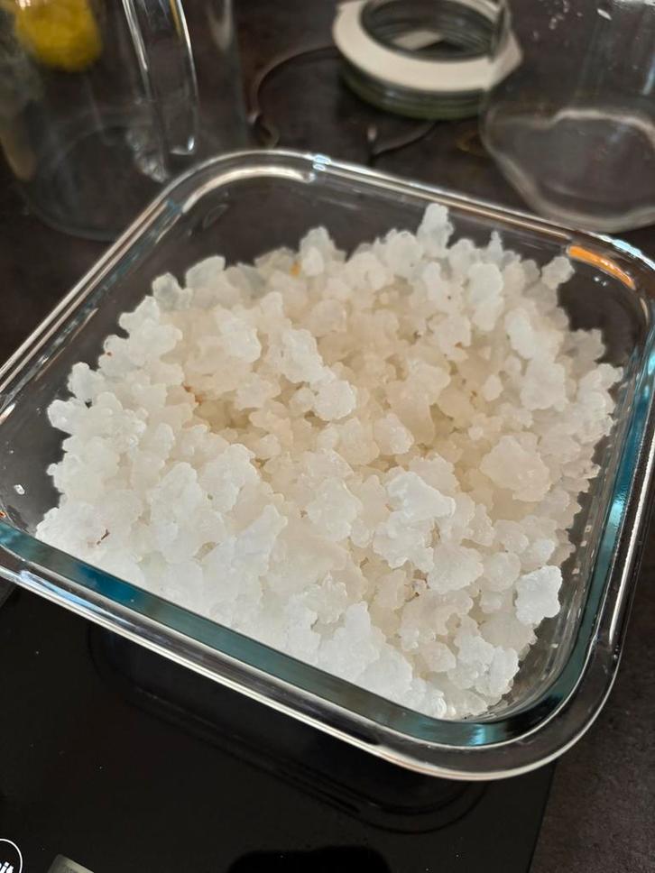 Waterkefir korrels, Diversen, Levensmiddelen, Ophalen