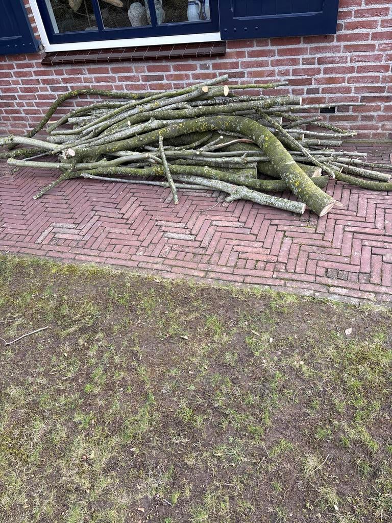 Eikenhout takken, Tuin en Terras, Haardhout, Minder dan 3 m³, Ophalen, Eikenhout, Takken
