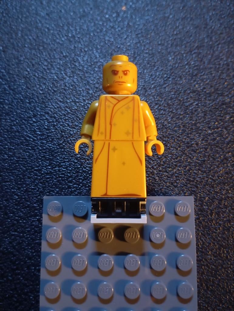 LEGO Harry Potter Lord Voldemort (hp312), Ophalen, Zo goed als nieuw