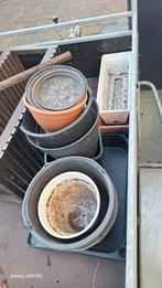 Gratis bloempotten om te kweken, Tuin en Terras, Bloempotten, Ophalen