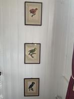 3 prenten vogels ingelijst, Ophalen
