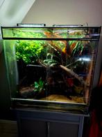 Terrarium 80x80x50, Ophalen