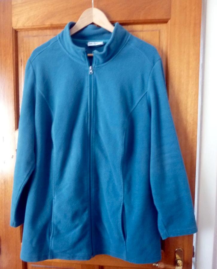 fleece vest - groen - (48), Kleding | Dames, Grote Maten, Gedragen, Trui of Vest, Groen, Ophalen of Verzenden