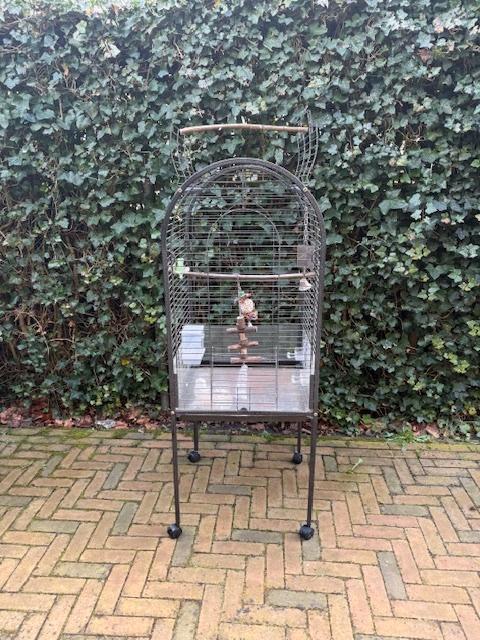 Kooi voor papegaai of valkparkiet. Vogelkooi, Dieren en Toebehoren, Vogels | Hokken en Kooien, Gebruikt, Vogelkooi, Metaal, Ophalen