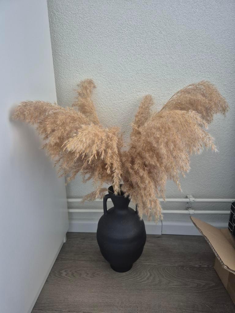 Grote zwarte vaas met pampasgras, Huis en Inrichting, Ophalen, Overige materialen, Gebruikt, 50 tot 75 cm