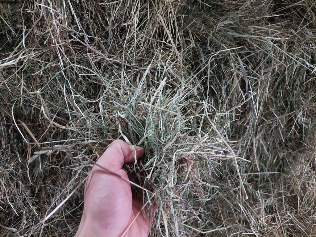 Hooi te koop, Dieren en Toebehoren, Dierenvoeding, Vee, Ophalen of Verzenden