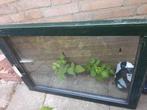 Kozijn met dubbel glas., 75 tot 150 cm, Gebruikt, Raamkozijn, Ophalen of Verzenden