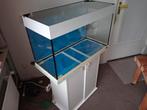 Mooi aquarium met kast & toebehoren, Dieren en Toebehoren, Ophalen, Zo goed als nieuw, Gevuld zoetwateraquarium
