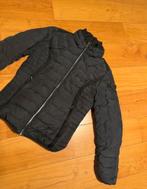 Airforce Winterjas Maat S, Ophalen of Verzenden, Zo goed als nieuw, Maat 36 (S)