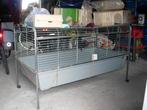 Benodigheden voor een konijn/cavia (incl. grote kooi), Dieren en Toebehoren, Knaagdieren en Konijnen | Hokken en Kooien, Ophalen
