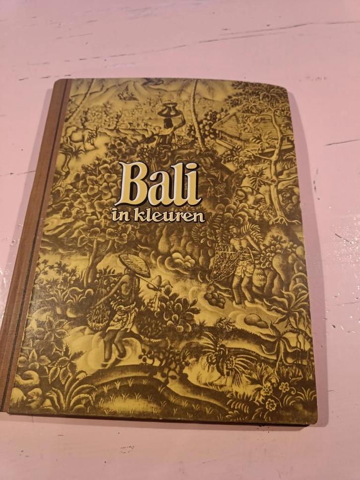 Vintage Bali in Kleuren - Douwe Egberts, Boeken, Natuur, Ophalen of Verzenden
