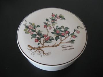 VILLEROY BOCH deksel groot doosje Botanica goede staat beschikbaar voor biedingen
