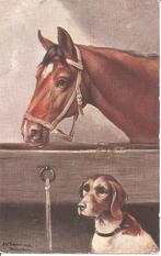 Ansichtkaart, Alfred Schönian, paard met hond in stal. 1908., Verzamelen, Ansichtkaarten | Themakaarten, Gelopen, Overige thema's
