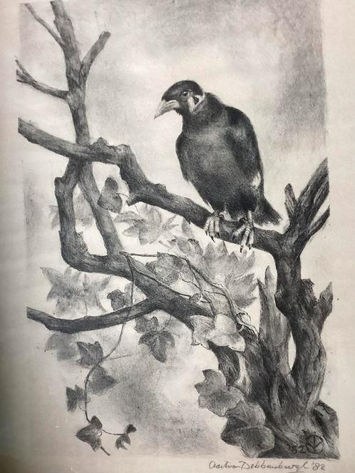 Aart van Dobbenburgh 1899-1988, Antiek en Kunst, Kunst | Litho's en Zeefdrukken, Verzenden