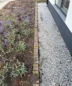 Gratis klinkers ophalen, Tuin en Terras, Ophalen, Overige materialen, Gebruikt, Klinkers