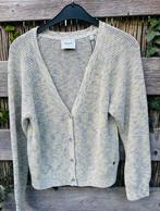 vest pepe jeans, maat s NIEUW, Overige kleuren, Nieuw, Ophalen of Verzenden, Maat 36 (S)