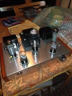 Buizen versterker single ended izgs 175 euro, Ophalen, Buis of Buizen