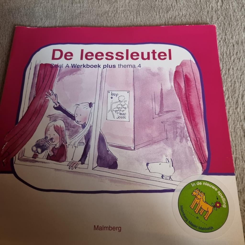 Groep 3 Leessleutel Werkboek Plus Thema 4, Ophalen of Verzenden, Zo goed als nieuw, Malmberg