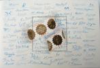 vereniging rembrandt Postfris rembrand van rijn vel blok PF, Ophalen of Verzenden, Na 1940, Postfris