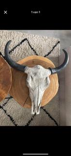 Skul, Ophalen, Zo goed als nieuw