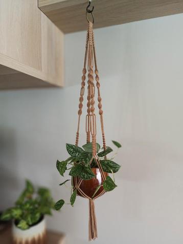 Macramé plantenhanger beschikbaar voor biedingen