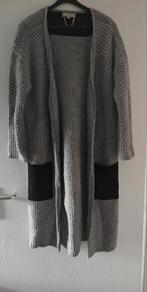 Josh V vest, Kleding | Dames, Ophalen, Zo goed als nieuw, Maat 34 (XS) of kleiner, Josh V