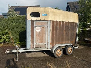 Paarden trailers ‼️ beschikbaar voor biedingen