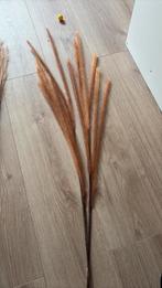 Kunst pluimen, Ophalen, Zo goed als nieuw