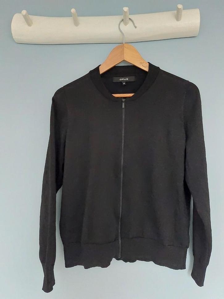 Feestelijk vest Opus 40 🌺, Kleding | Dames, Truien en Vesten, Gedragen, Maat 38/40 (M), Zwart, Ophalen of Verzenden