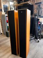 The Pied Piper Luidsprekers - Topkwaliteit!, Audio, Tv en Foto, Gebruikt, 120 watt of meer, Front, Rear of Stereo speakers, Ophalen