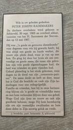 Peter J. Rademakers, 1905-1967 Schinveld, Verzenden