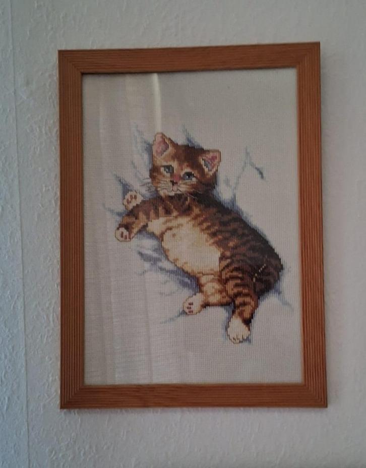 Kattenschilderij, Antiek en Kunst, Kunst | Schilderijen | Modern, Ophalen