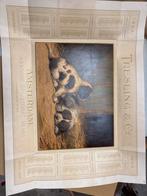 Oude kalender met schilderij van honden, 1903, Ophalen of Verzenden