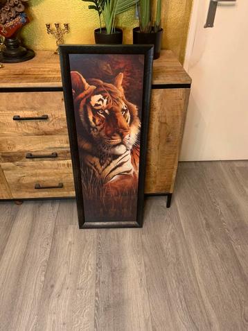 Mooie tijger houten lijst met houten achtergrond beschikbaar voor biedingen